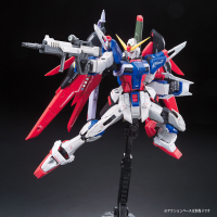 RG 1/144 #11 Destiny Gundam 14