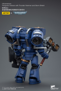 Ultramarines Vanguard Veteran with Thunder Hammer and Storm Shield 4