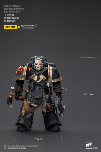 Space Wolves Deathsworn Pack Deathsworn 5 6