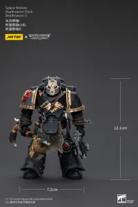 JOYTOY Space Wolves Deathsworn Pack Deathsworn 5 - Warhammer 40K - photo 6