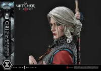 Prime 1 Studio Premium Masterline The Witcher 3: Wild Hunt Ciri Fiona Elen Riannon Alternative Outfit DX Bonus Version - Video Games - photo 50