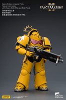 Game Edition Imperial Fists Heavy Intercessor with Heavy Bolt Rifle and Bolt Pistol 14