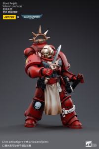 Blood Angels Veteran Laenatus 2