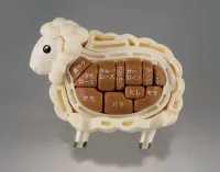 MegaHouse Lamb Puzzle , Megahouse Kaitai Puzzle - Kaitai Lamb - photo 3