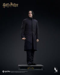 Harry Potter and the Half-Blood Prince - Severus Snape 1/6 Collectible Figure 15