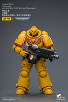Imperial Fists Intercessor with Bolt Rifle, Bolt Pistol and Chainsword 17