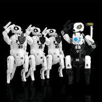 BB-48GT GHOST TEAM 15