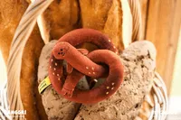 TOYZEROPLUS BANGGRI Generic Series - 20cm Tilt Head Plush (Gaeggul ver.) - Banggri - photo 1