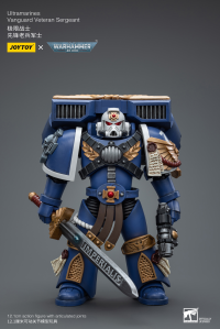 Ultramarines Vanguard Veteran Sergeant 1