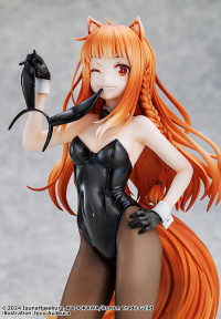 Spice and Wolf: MERCHANT MEETS THE WISE WOLF Holo Light Novel bunny ver. illustration by Jyuu Ayakura 7