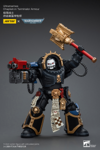 Ultramarines Chaplain in Terminator Armour 5