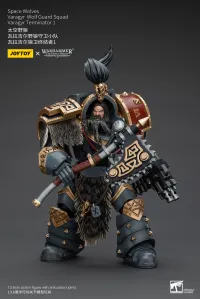 JOYTOY Space Wolves Varagyr Wolf Guard Squad Varagyr Terminator 1 - Warhammer 40K - photo 6