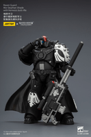 Raven Guard Mor Deythan Shade with Nemesis bolt rifle 20