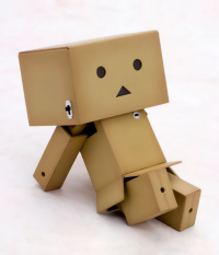 DANBOARD 12