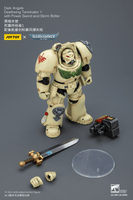 Dark Angels Deathwing Terminator 1 with Power Sword and Storm Bolter 4