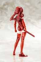 B1R-L CHASSIS KIT SKIN COLOR C 5