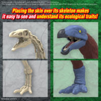 PLANNOSAURUS Therizinosaurus 5