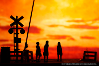 Railway Crossing（Blue×Black) 4