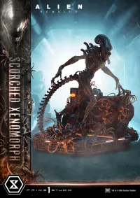 Prime 1 Studio Museum Masterline XL Alien: Romulus Scorched Xenomorph Deluxe Bonus Version - Alien (Movie Franchise) - photo 85