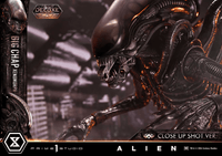 Museum Masterline XL Alien (Film) Big Chap Xenomorph Close Up Shot Ver. DX Bonus Version			 6