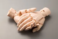 KOTOBUKIYA ARTIST SUPPORT ITEM HAND MODEL/R -PALE ORANGE- - Art & Display - photo 9