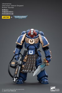 Ultramarines Intercessor Veteran Sergeant Brother Aeontas 8