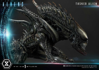 Premium Masterline Aliens (Comics) Tusked Alien Bonus Version 41