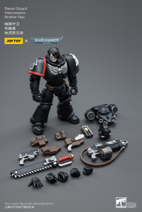 Warhammer 40K-Raven Guard Intercessors Brother Nax 8