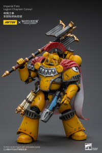 Imperial Fists Legion Chaplain Consul 9