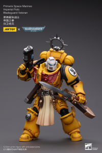 Primaris Space Marines Imperial Fists Bladeguard Veteran 7