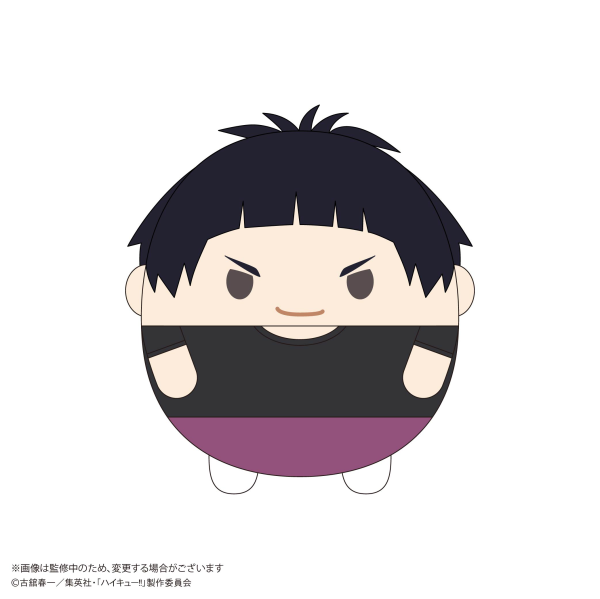 Haikyu!! FUWA KORORIN BIG 9 (ITEM F)