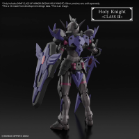 30MF CLASS UP ARMOR (ROSAN HOLY KNIGHT) 2
