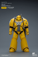 Imperial Fist MKVI Tactical Legionary 12