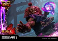 Prime 1 Studio Premium Masterline Street Fighter V Akuma Ultimate Version - Street Fighter - photo 33