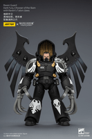 Raven Guard Dark Fury, Chooser of the Slain with Raven's Talon claws 14