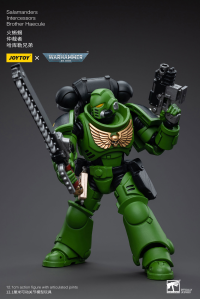 Salamanders Intercessors Brother Haecule 7