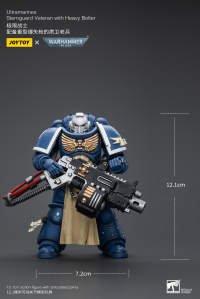 Ultramarines Sternguard Veteran with Heavy Bolter 6