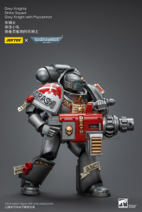 Grey Knights Strike Squad Grey Knight with Psycannon 3