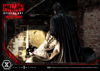 Museum Masterline The Batman (Film) The Batman Special Art Edition Fabric Cape Limited Version 74