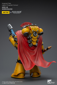Imperial Fists Legion Chaplain Consul 5