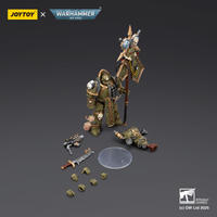 Death Guard Plague Marine Icon bearer with Boltgun and Plague knife 13