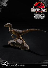 Prime Collectible Figures  Jurassic Park (Film)  Velociraptor  Closed Mouth 5