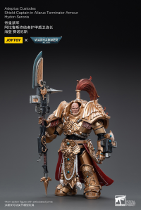 Adeptus Custodes Shield-Captain in Allarus Terminator Armour Hydon Seronis 14