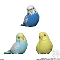 BANDAI Tenori Friends 4 Birds  (Box/12), Bandai Shokugan Tenori Friends - Tenori Friends - photo 5