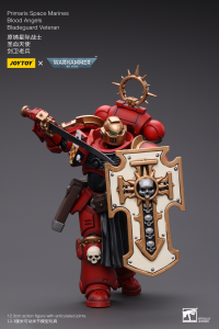 Primaris Space Marines Blood Angels Bladeguard Veteran 6