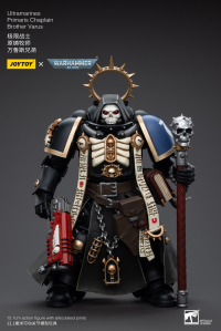 Ultramarines Primaris Chaplain Brother Varus 1