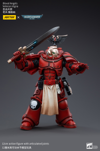Blood Angels Veteran Vigna 1