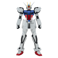 MOBILE SUIT GUNDAM SEED GENKAI TOPPA STRIKE GUNDAM
