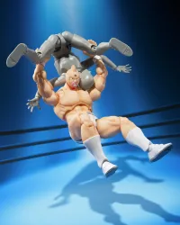 TAMASHII NATIONS KINNIKUMAN-PERFECT ORIGIN ARC- "KINNIKUMAN", TAMASHII NATIONS S.H.Figuarts - KINNIKUMAN - photo 7
