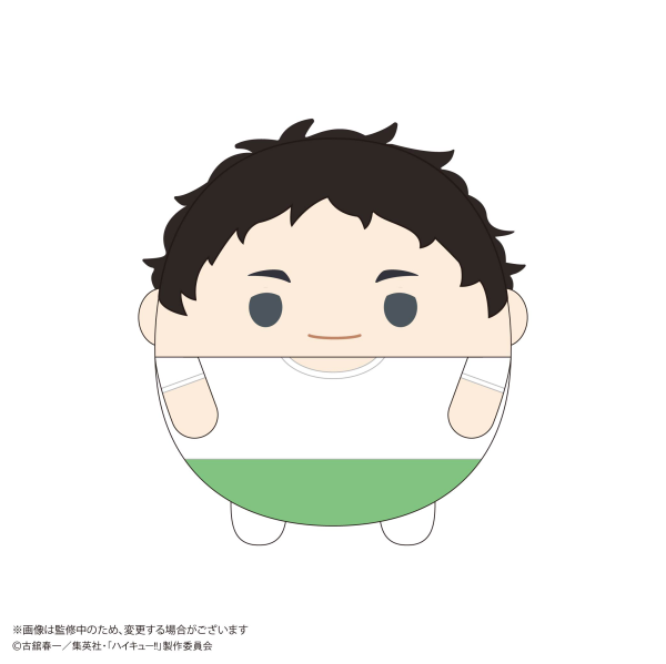 Haikyu!! FUWA KORORIN BIG 10 (Item F)